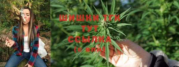 ешки Белокуриха