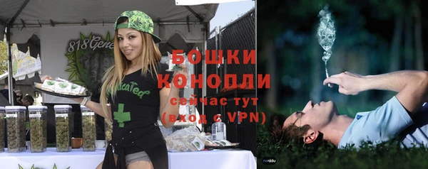 ешки Белокуриха