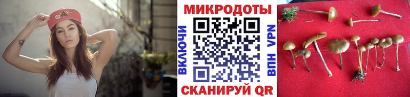 Галлюциногенные грибы мицелий  купить наркотик  Ермолино 